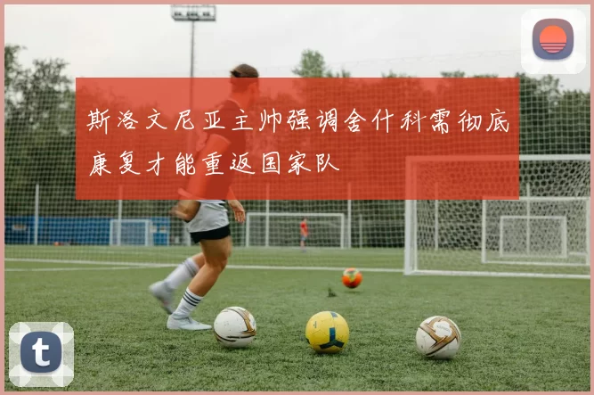斯洛文尼亚主帅强调舍什科需彻底康复才能重返国家队