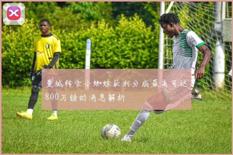曼城转会小蜘蛛获利分成最高可达800万镑的消息解析