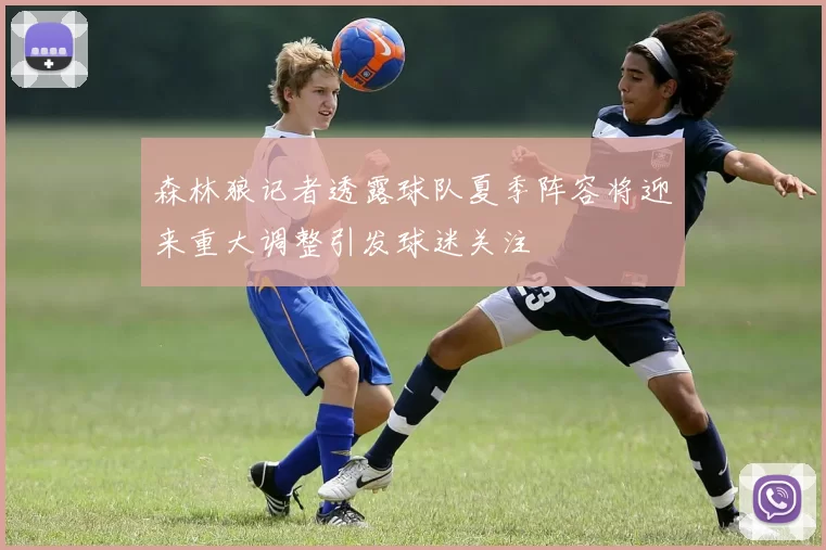 森林狼记者透露球队夏季阵容将迎来重大调整引发球迷关注